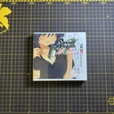 SENRAN KAGURA BURST Nintendo 3DS 