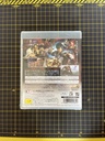 Fist of the North Star: Ken's Rage Shin Hokuto Musou PS3