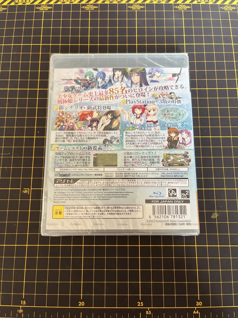 Sengoku Hime 5: Senkatatsu Haoh no Keifu PS3