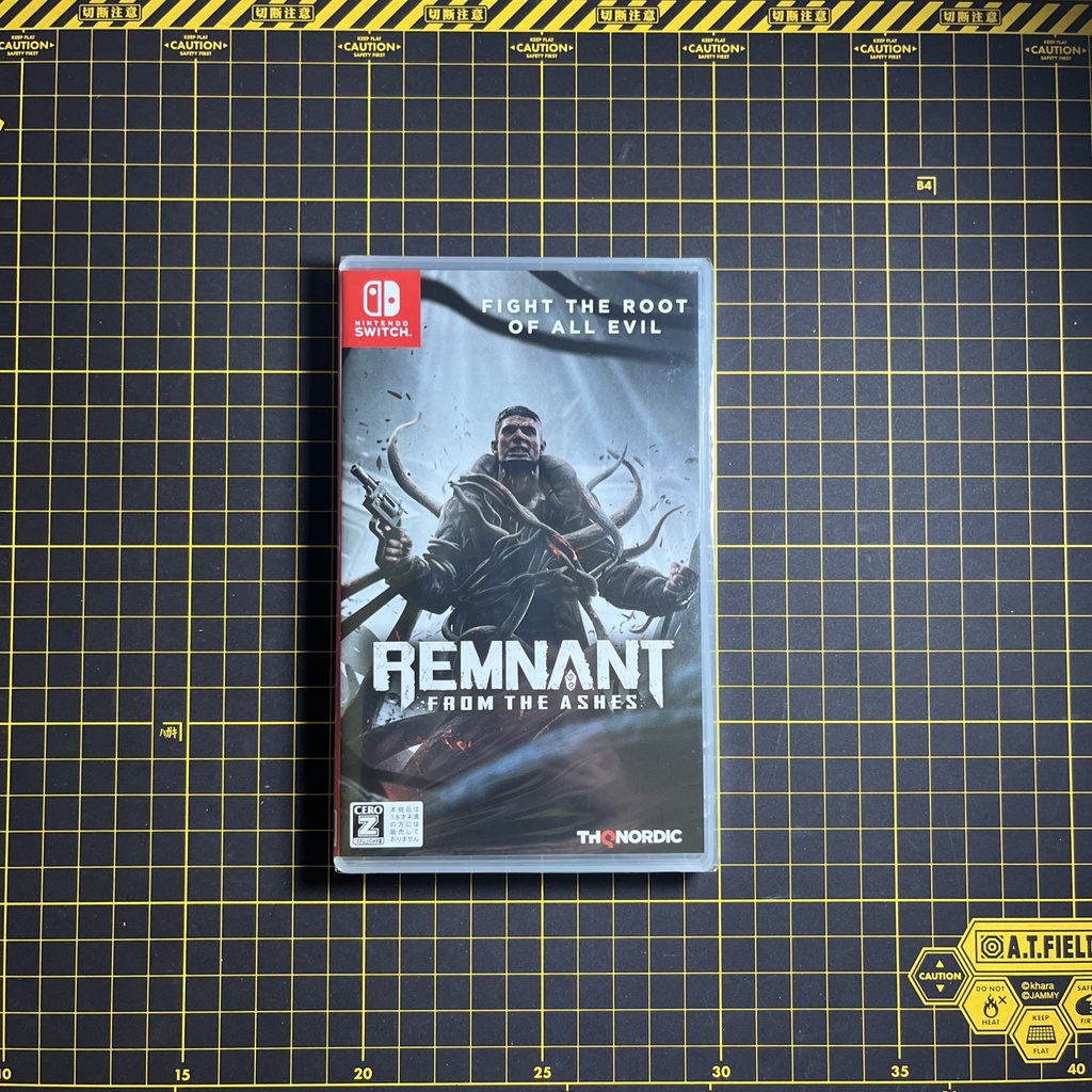 Remnant: From the Ashes Nintendo Switch 