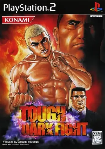 TOUGH DARK FIGHT PS2 