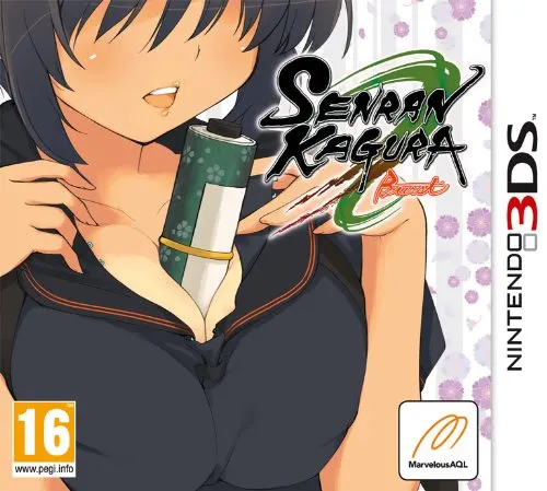 SENRAN KAGURA BURST Nintendo 3DS 